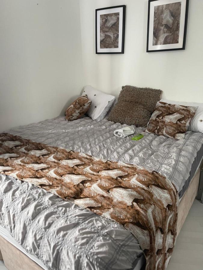 Apartament Spacious One Bedroom Ft In King's Cross